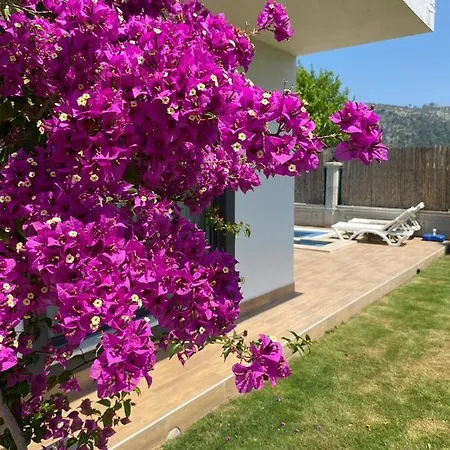 Kalinda Close To Airport 빌라