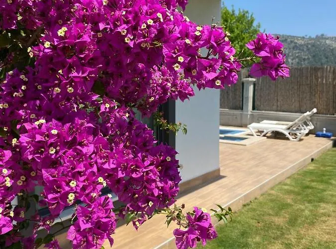 Kalinda Close To Airport וילה